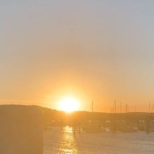 Meet your Posher, Ella